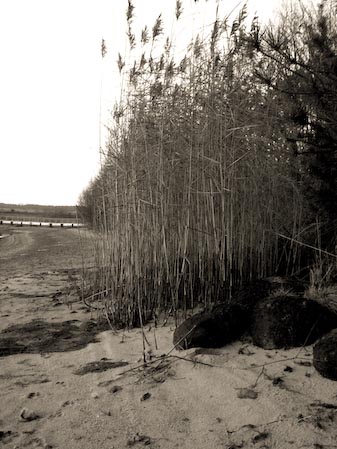 rothsee_im_winter_17